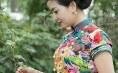 韩国女主播快播